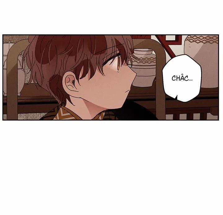 Vùng Đất Mưa Của Những Con Rồng 13 trang 13