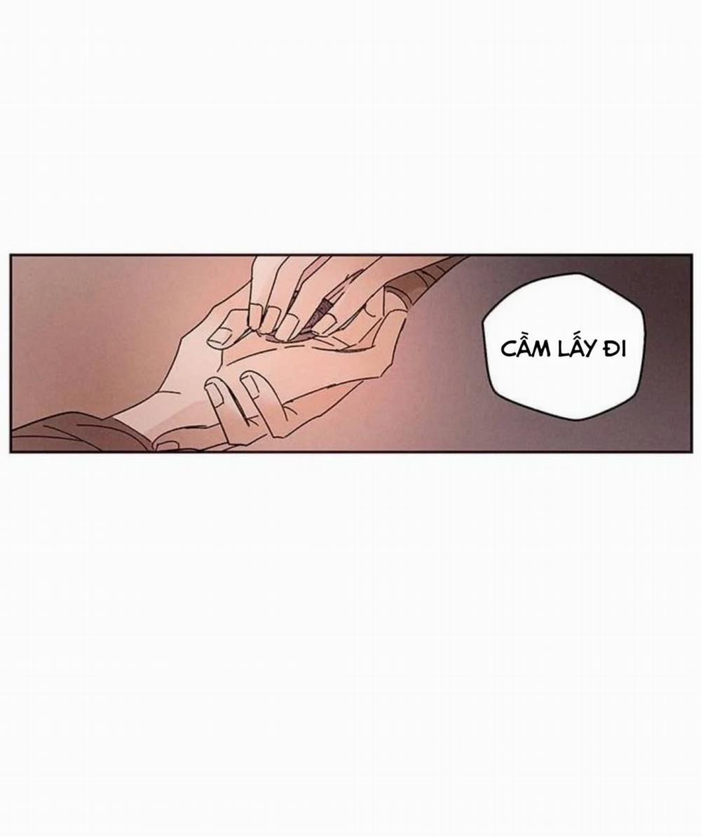 Vùng Đất Mưa Của Những Con Rồng 15 trang 11