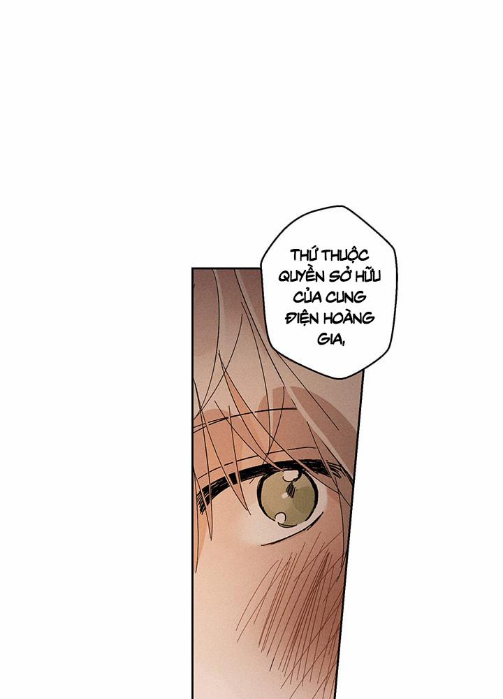 Vùng Đất Mưa Của Những Con Rồng 17 trang 19