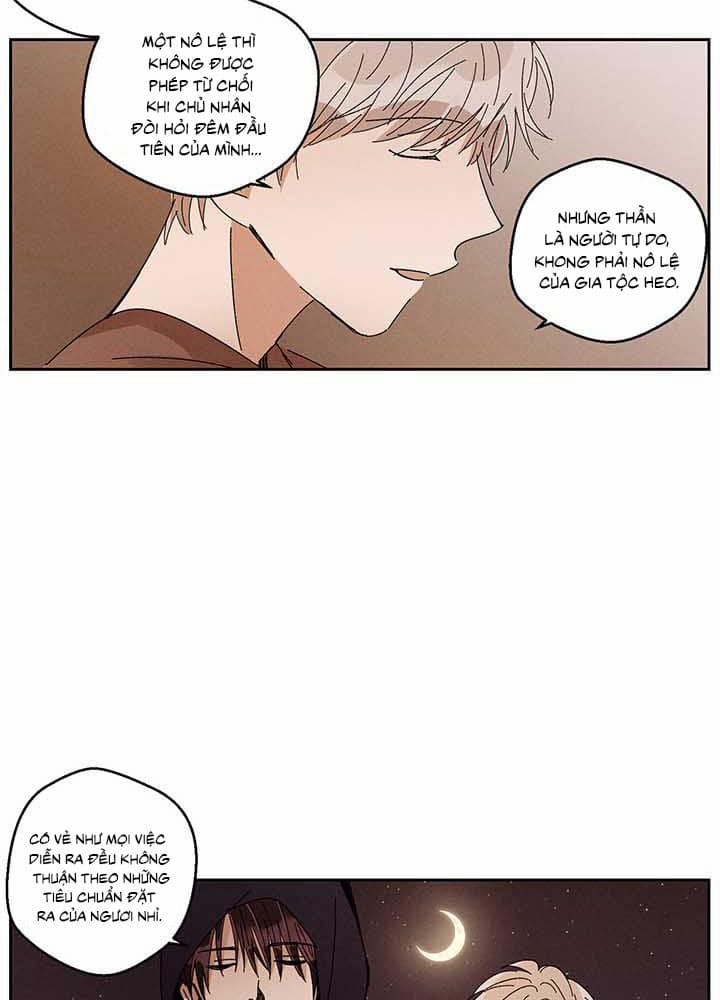 Vùng Đất Mưa Của Những Con Rồng 18 trang 19