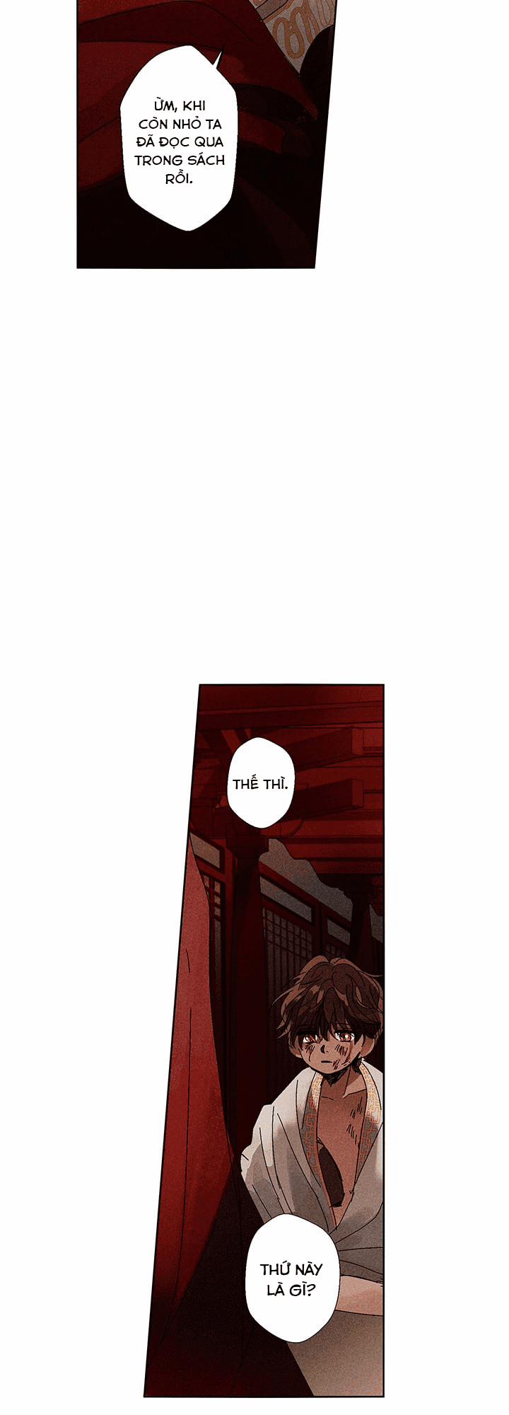 Vùng Đất Mưa Của Những Con Rồng 2 trang 5