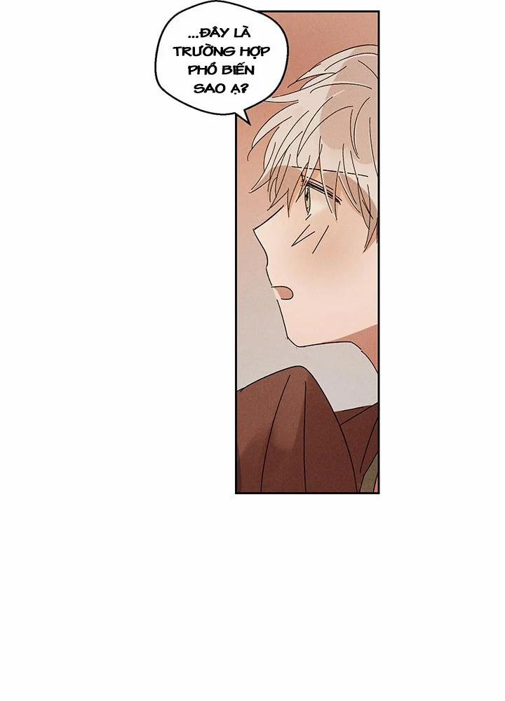 Vùng Đất Mưa Của Những Con Rồng 23 trang 16