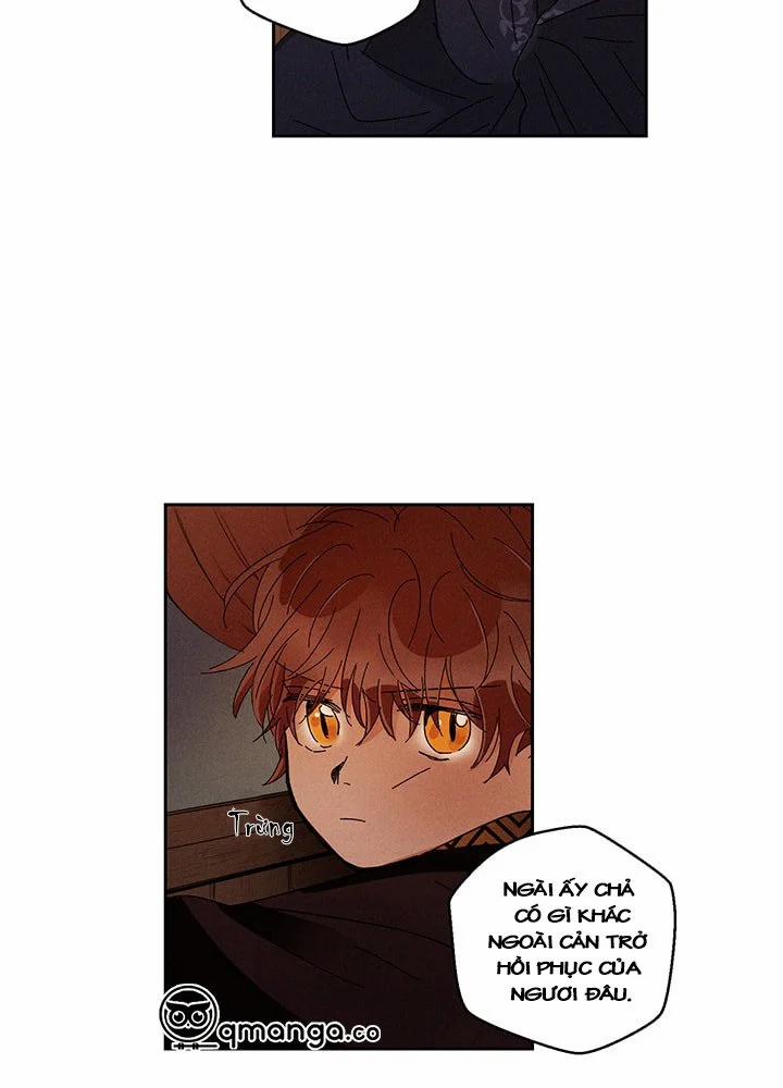 Vùng Đất Mưa Của Những Con Rồng 23 trang 20