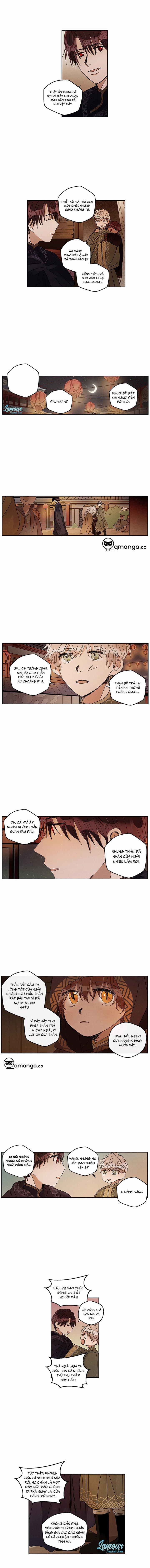 Vùng Đất Mưa Của Những Con Rồng 24 trang 2