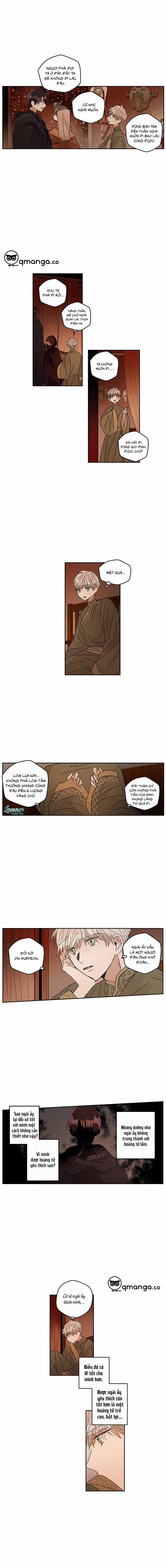 Vùng Đất Mưa Của Những Con Rồng 24 trang 5