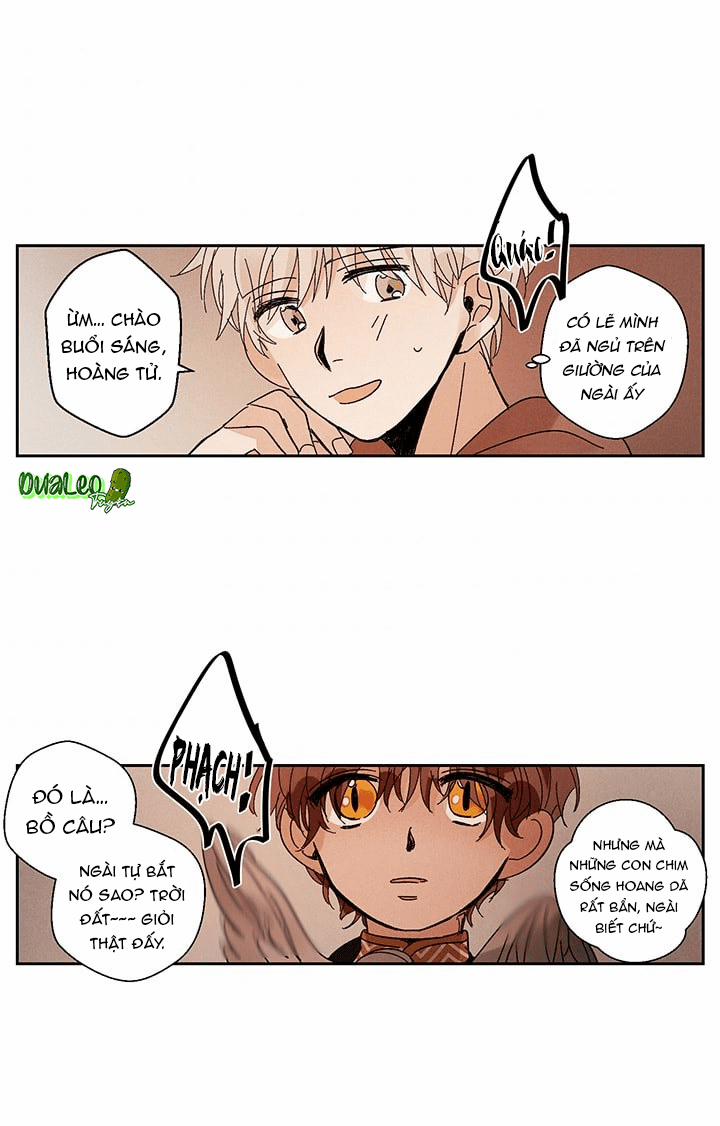 Vùng Đất Mưa Của Những Con Rồng 9 trang 4