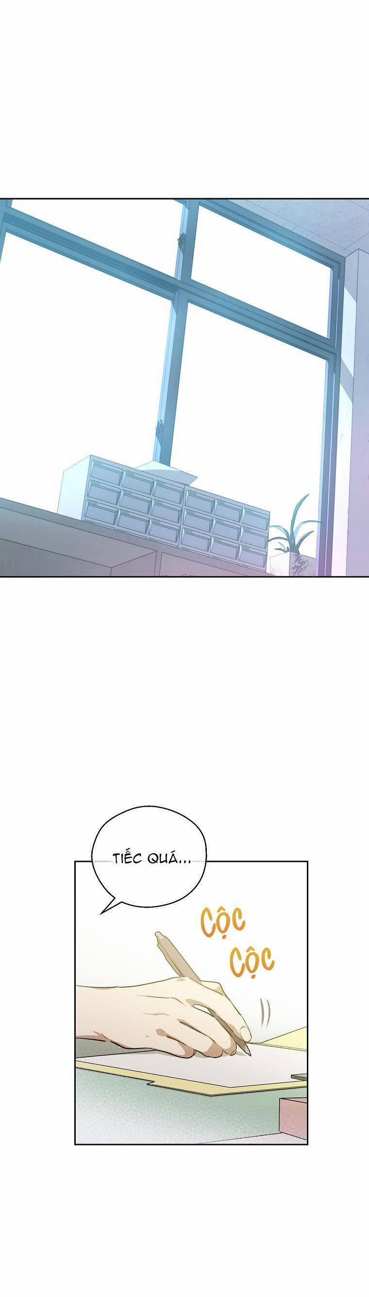 Vùng Đất Rộng Lớn 11 trang 1