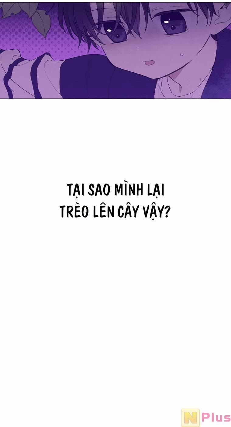 Vùng Đất Rộng Lớn 4 trang 2