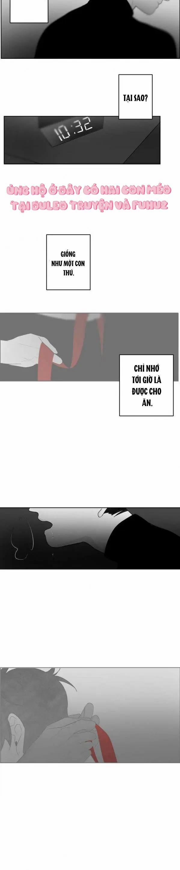 Vùng Đỏ 40 trang 11