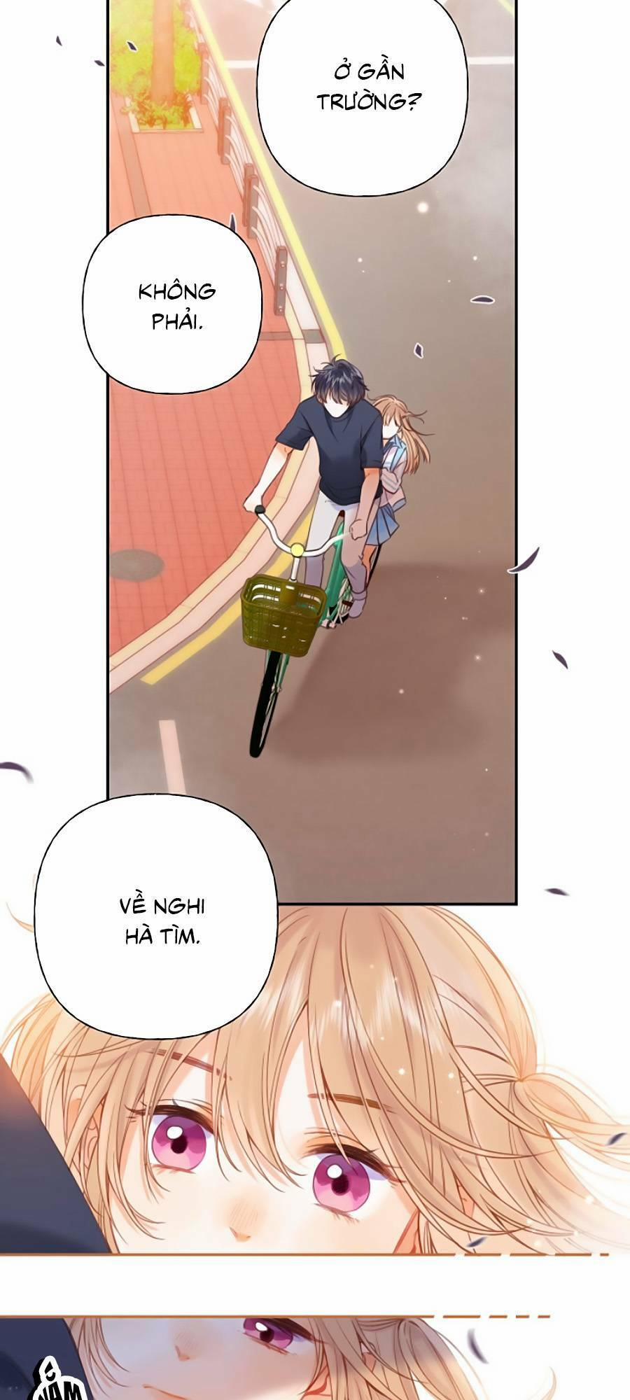 Vụng Trộm Giấu Không Được 32 trang 3