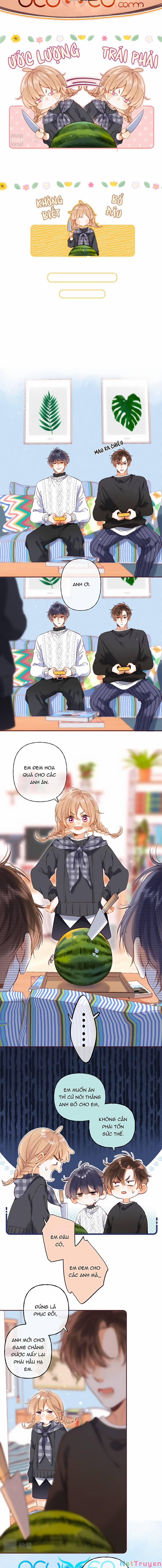 Vụng Trộm Giấu Không Được 36 trang 5