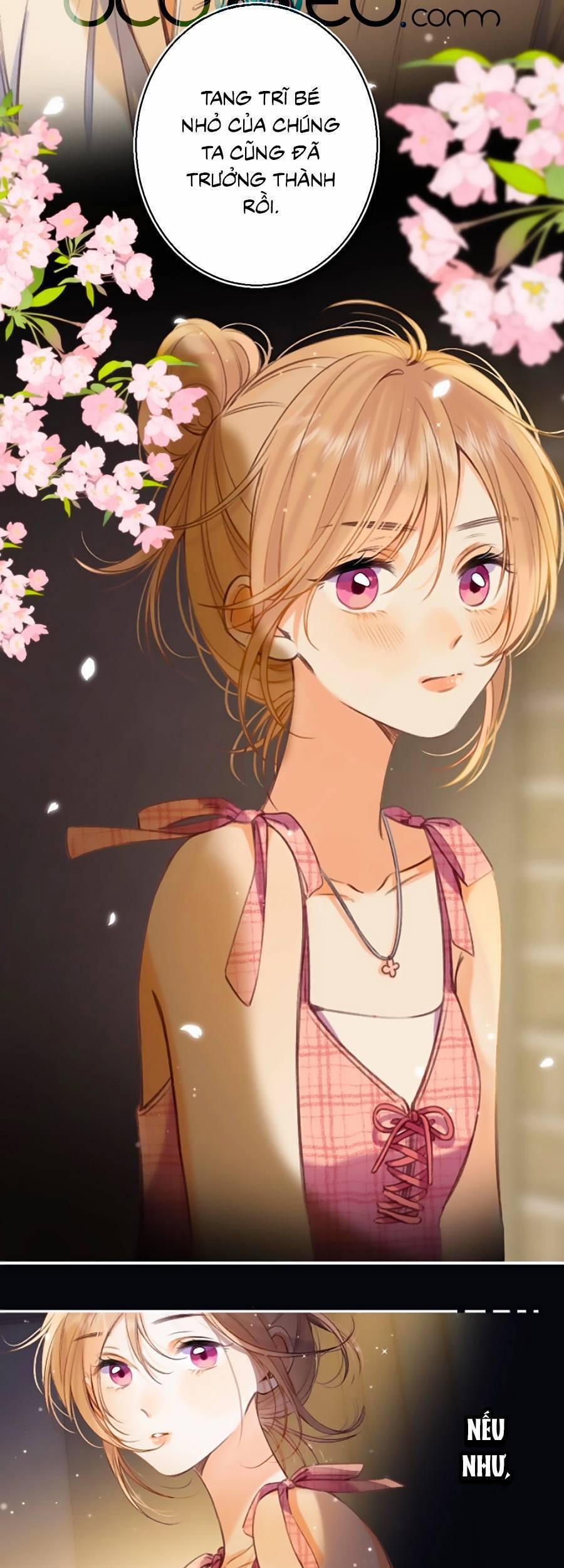 Vụng Trộm Giấu Không Được 46.6 trang 13