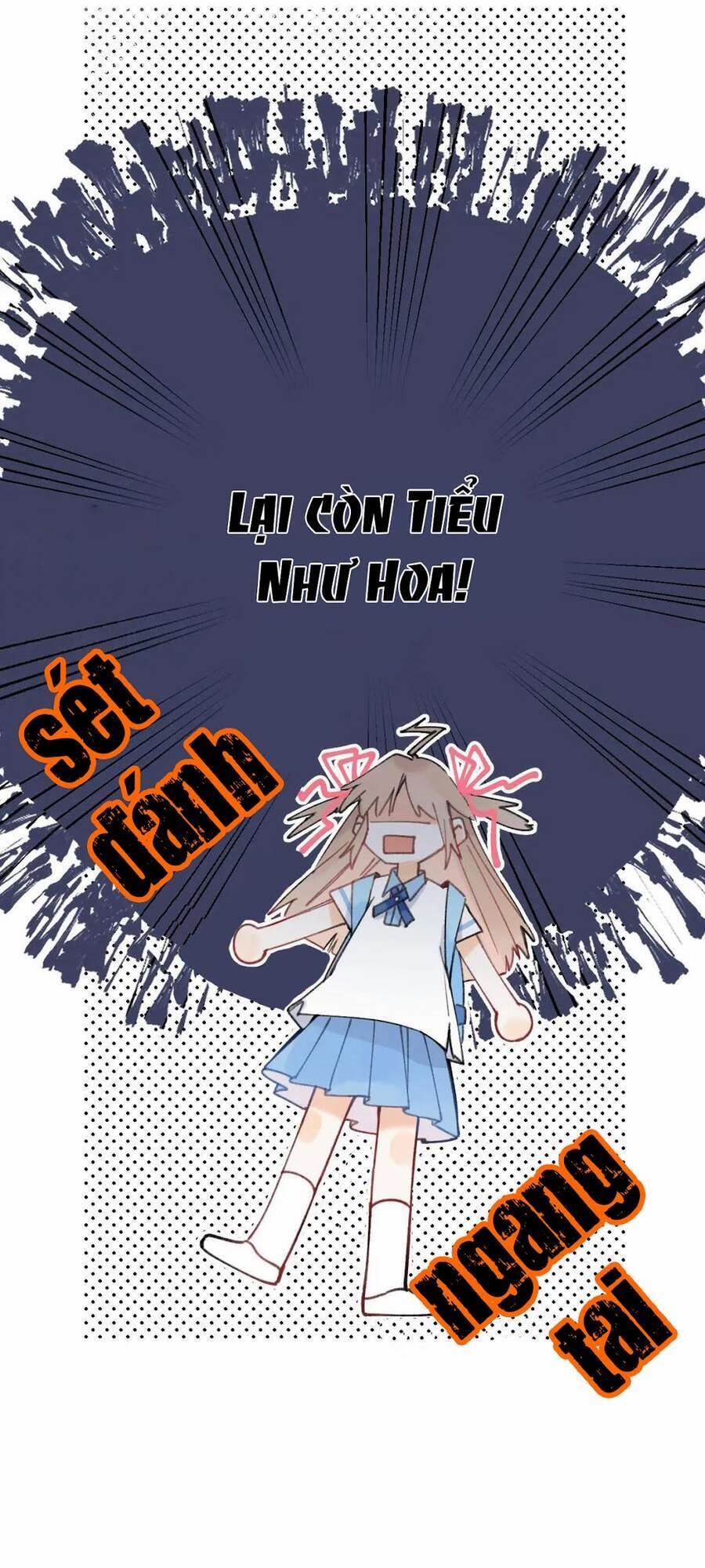 Vụng Trộm Không Giấu Được 12 trang 13