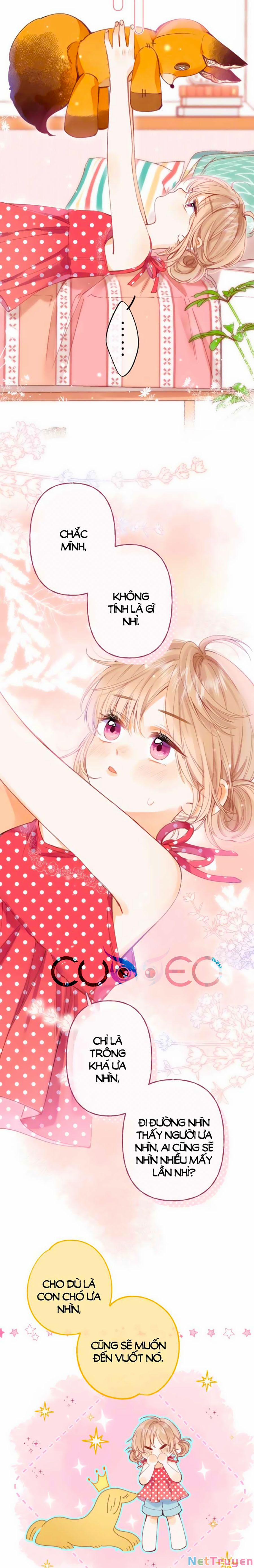 Vụng Trộm Không Giấu Được 14 trang 10