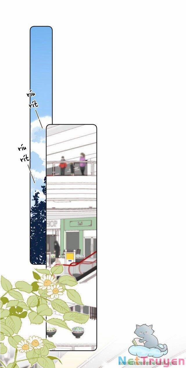 Vụng Trộm Không Giấu Được 19 trang 21