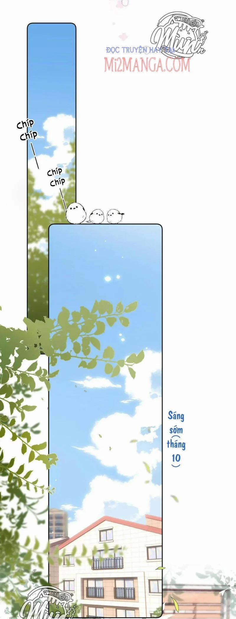 Vụng Trộm Không Giấu Được 22 trang 19