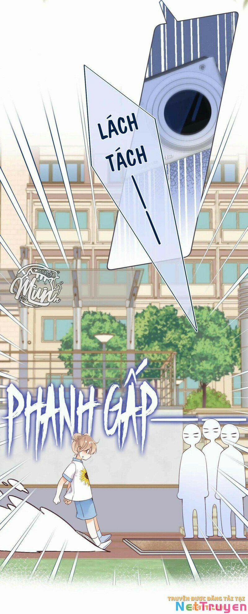 Vụng Trộm Không Giấu Được 24 trang 13