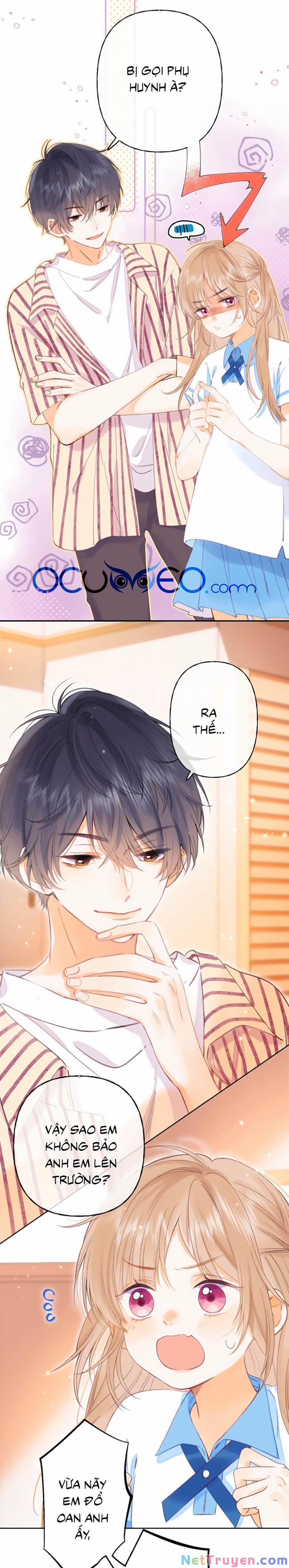 Vụng Trộm Không Giấu Được 3 trang 3