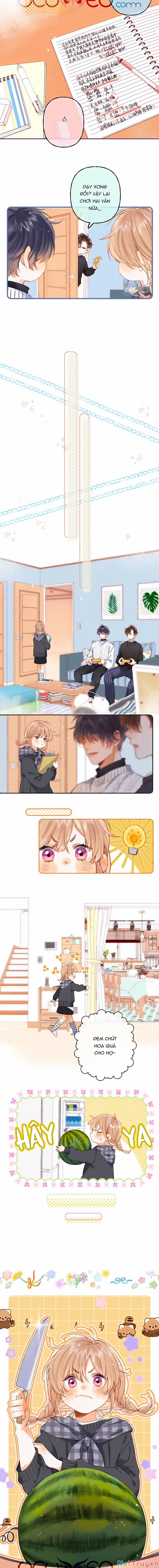 Vụng Trộm Không Giấu Được 36 trang 4