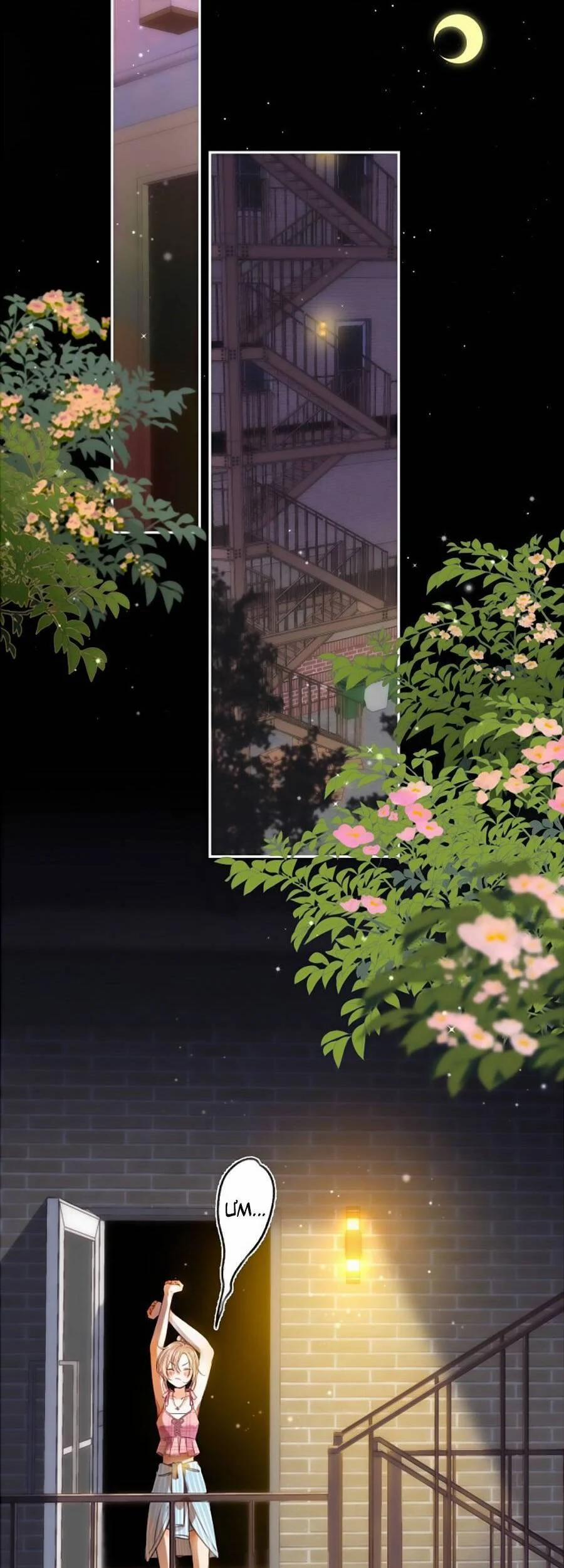 Vụng Trộm Không Giấu Được 47 trang 15