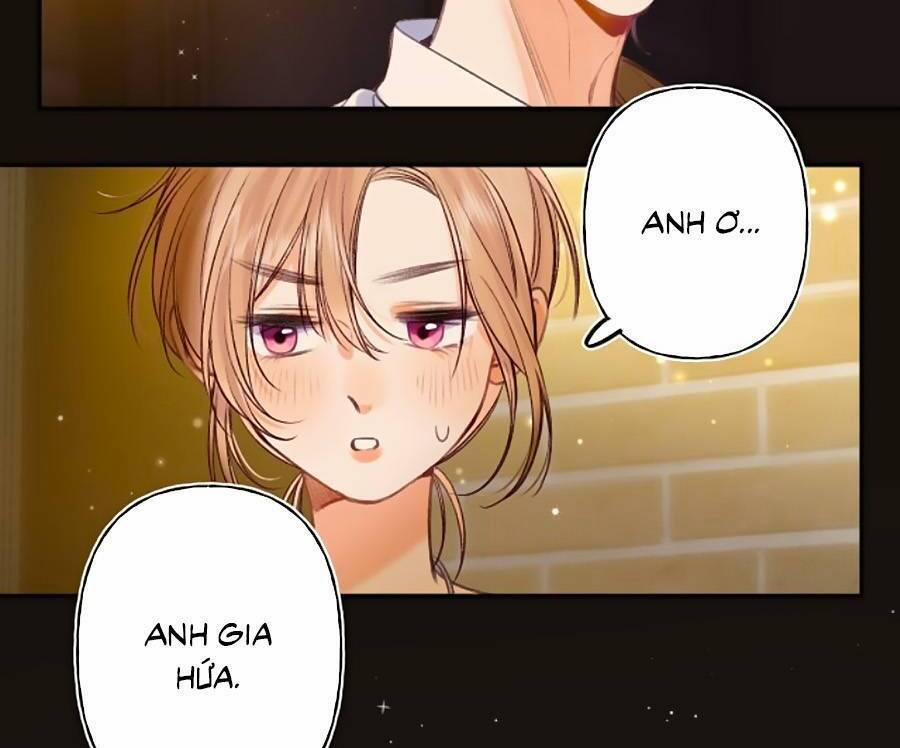 Vụng Trộm Không Giấu Được 48 trang 3