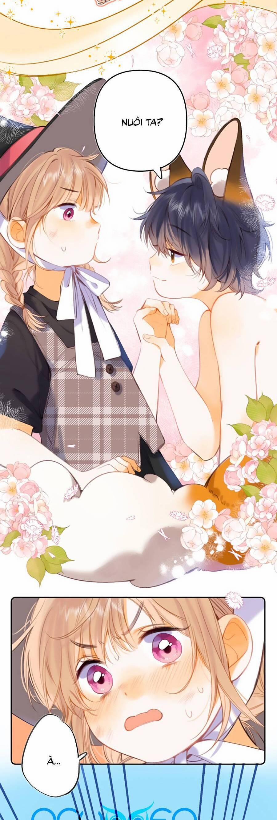 Vụng Trộm Không Giấu Được 55.5 trang 11