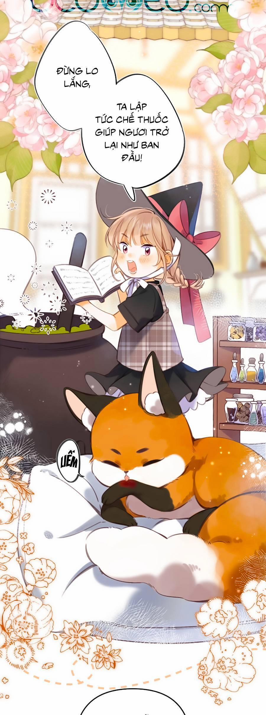 Vụng Trộm Không Giấu Được 55.5 trang 6