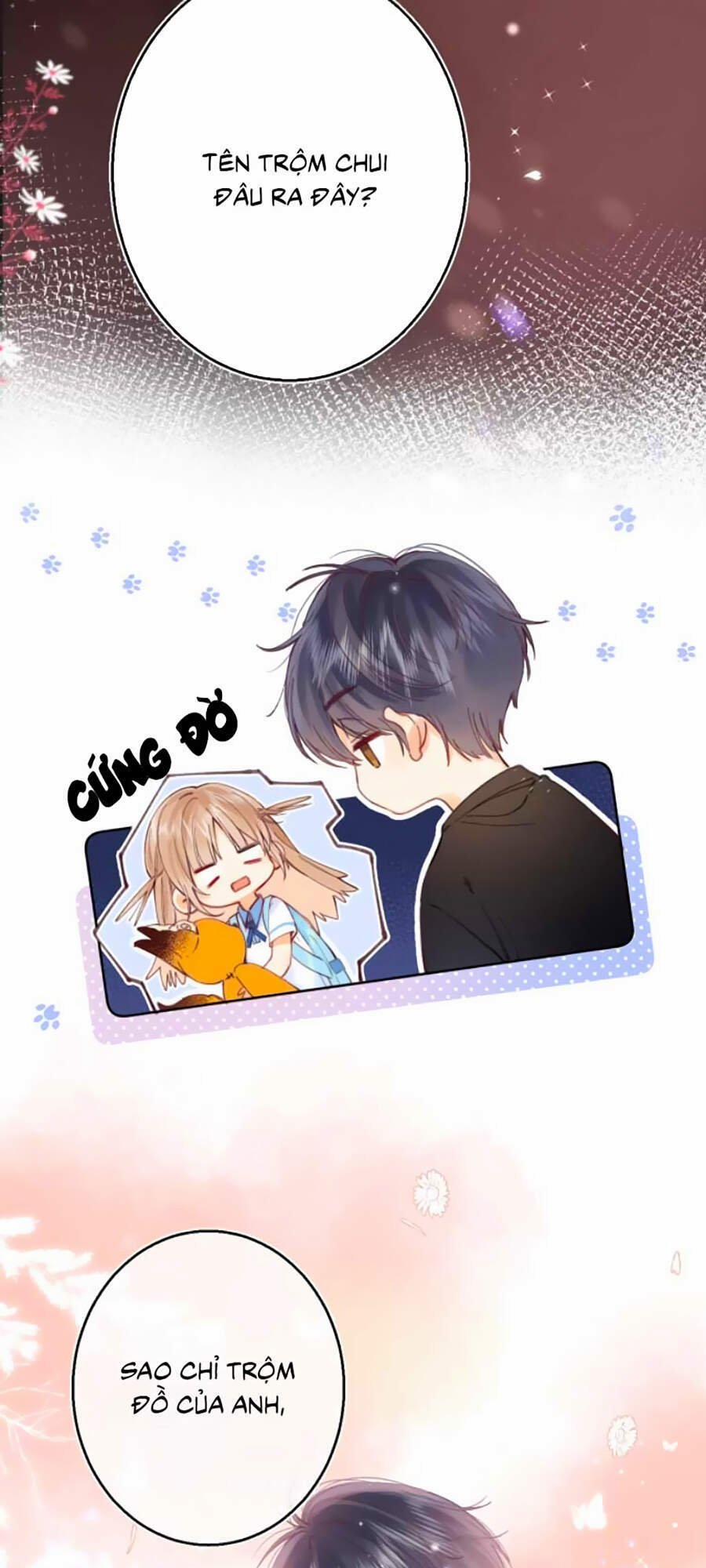 Vụng Trộm Không Giấu Được 9 trang 21