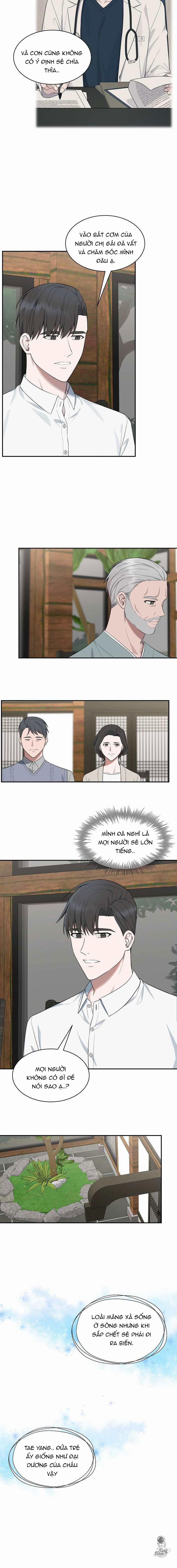 Vùng Vẫy 38 trang 7