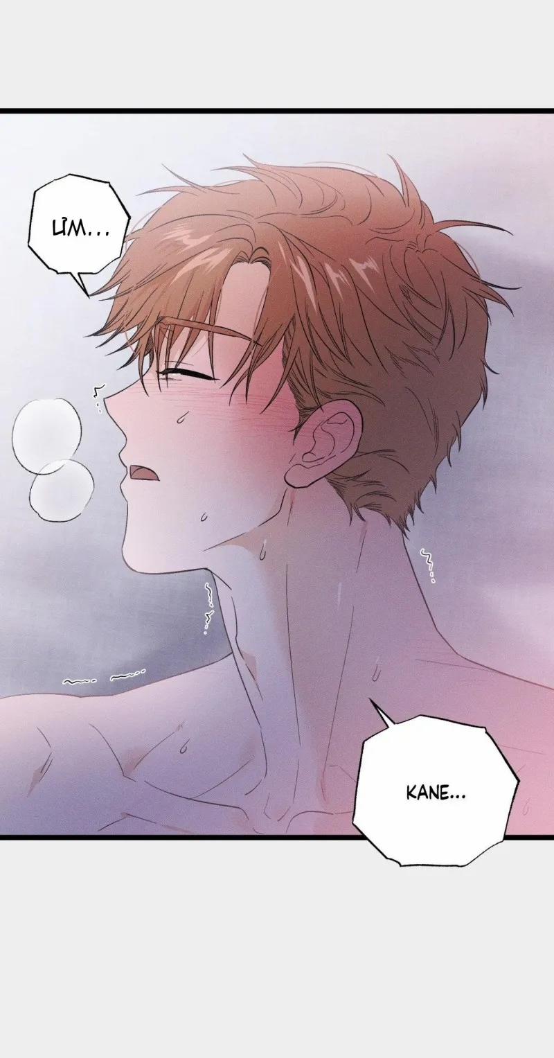 Vườn Địa Đàng Nơi Hoang Đảo 25 trang 4