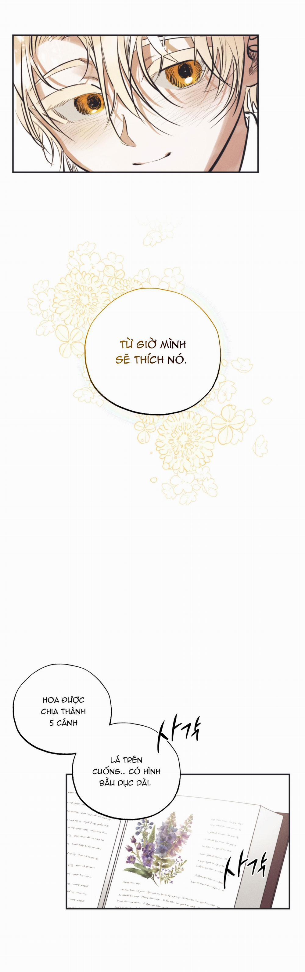 VƯỜN HOA CỦA ESTHER 1 trang 19