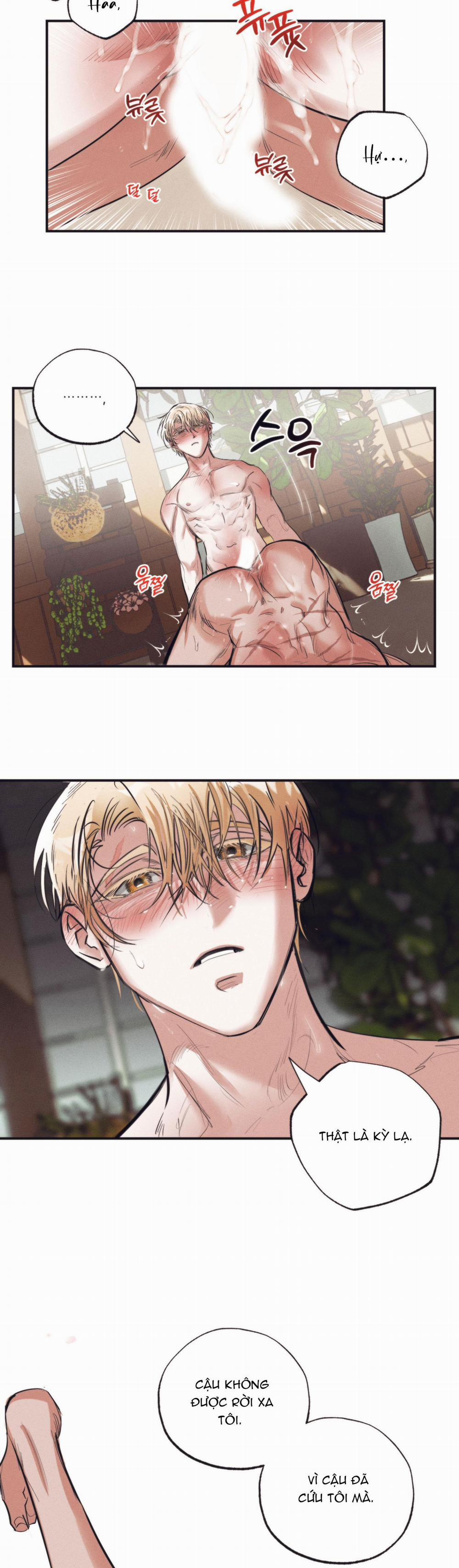 VƯỜN HOA CỦA ESTHER 2 trang 22