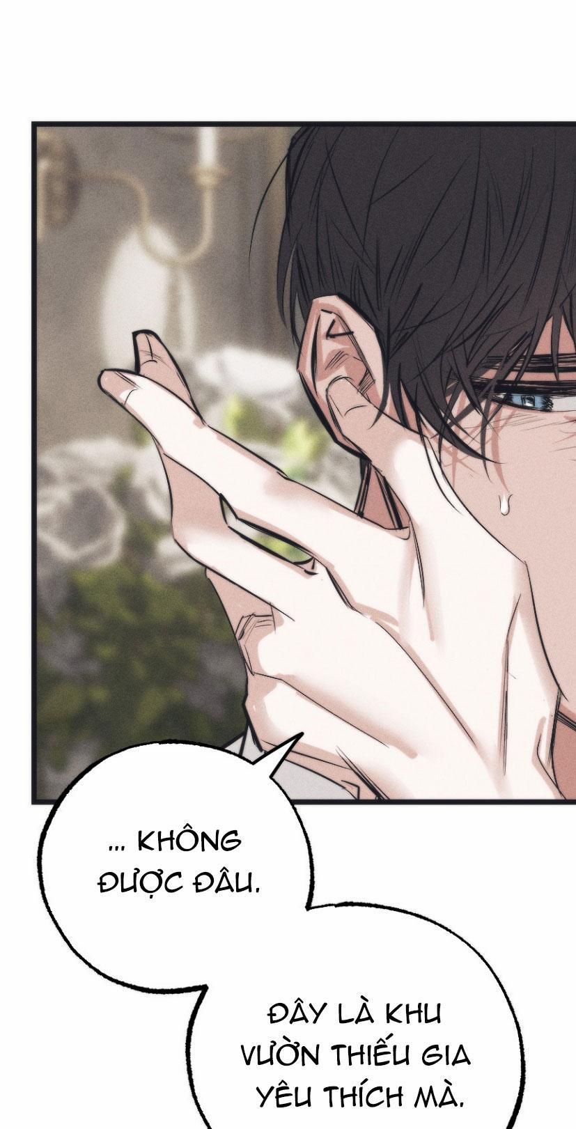 VƯỜN HOA CỦA ESTHER 5 trang 14