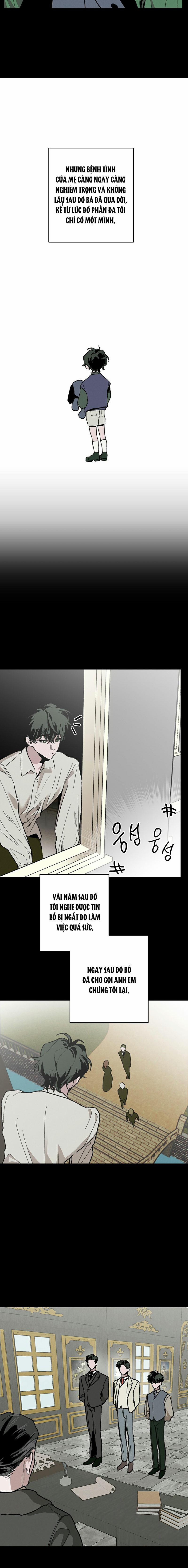 Vườn Hoa Nhỏ 7 trang 8