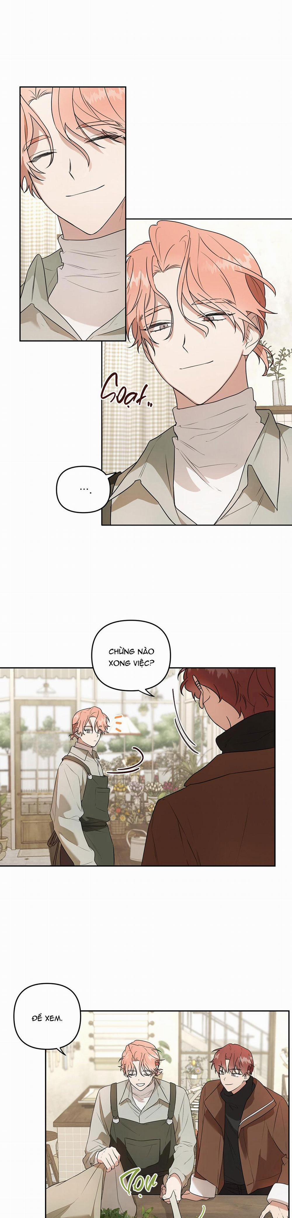 Vườn Hoa 1 trang 4