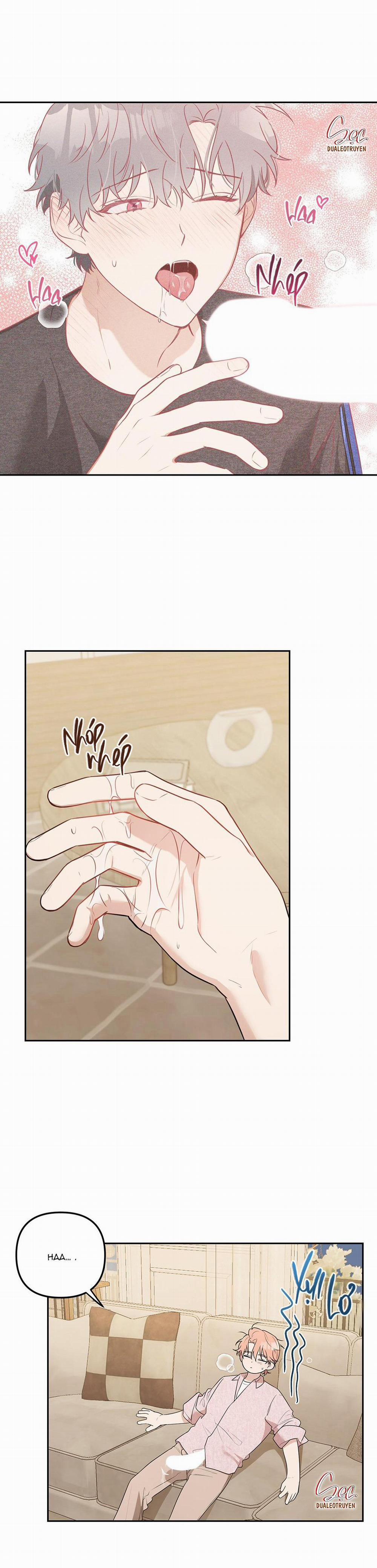 Vườn Hoa 10 trang 17