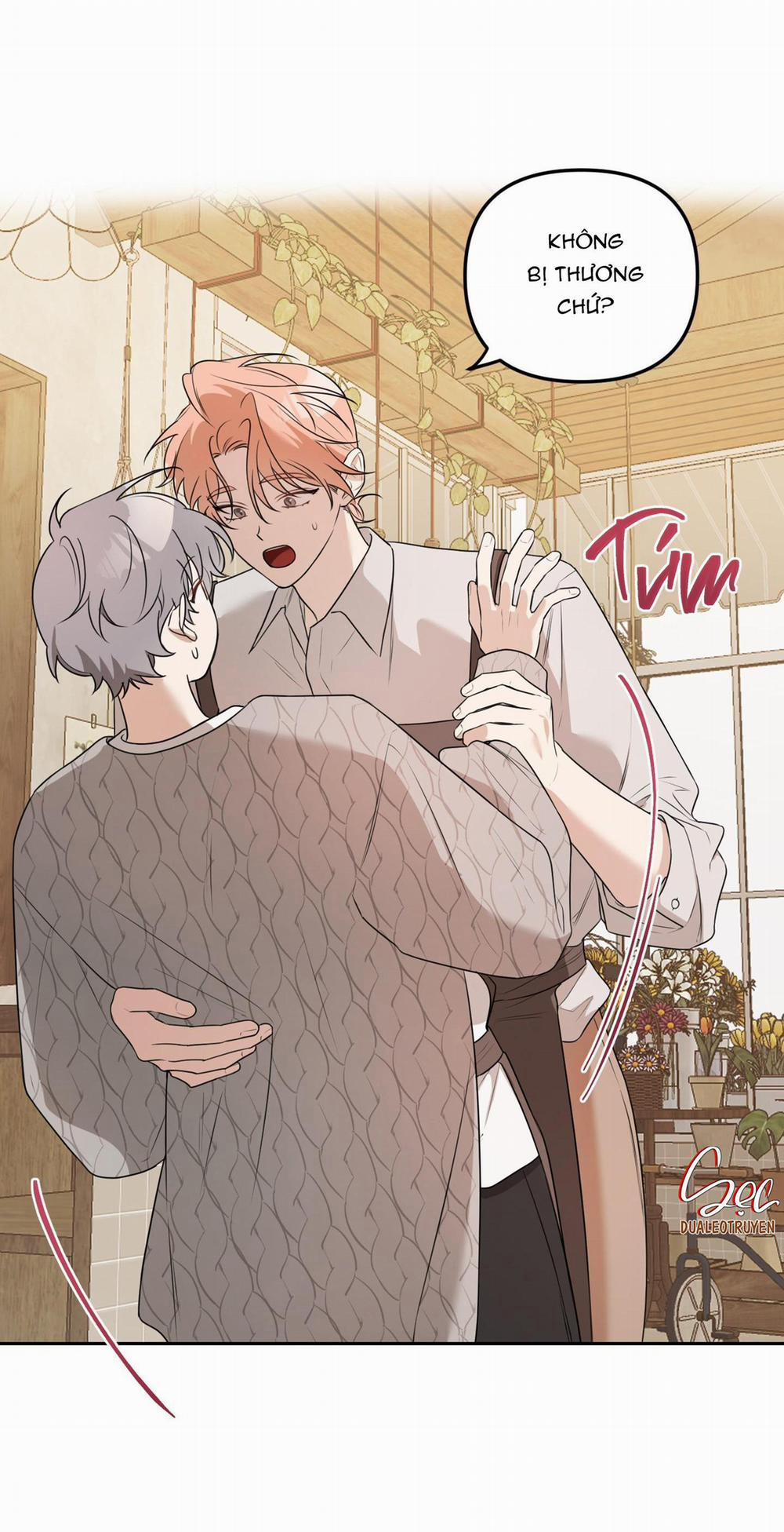 Vườn Hoa 12 trang 19