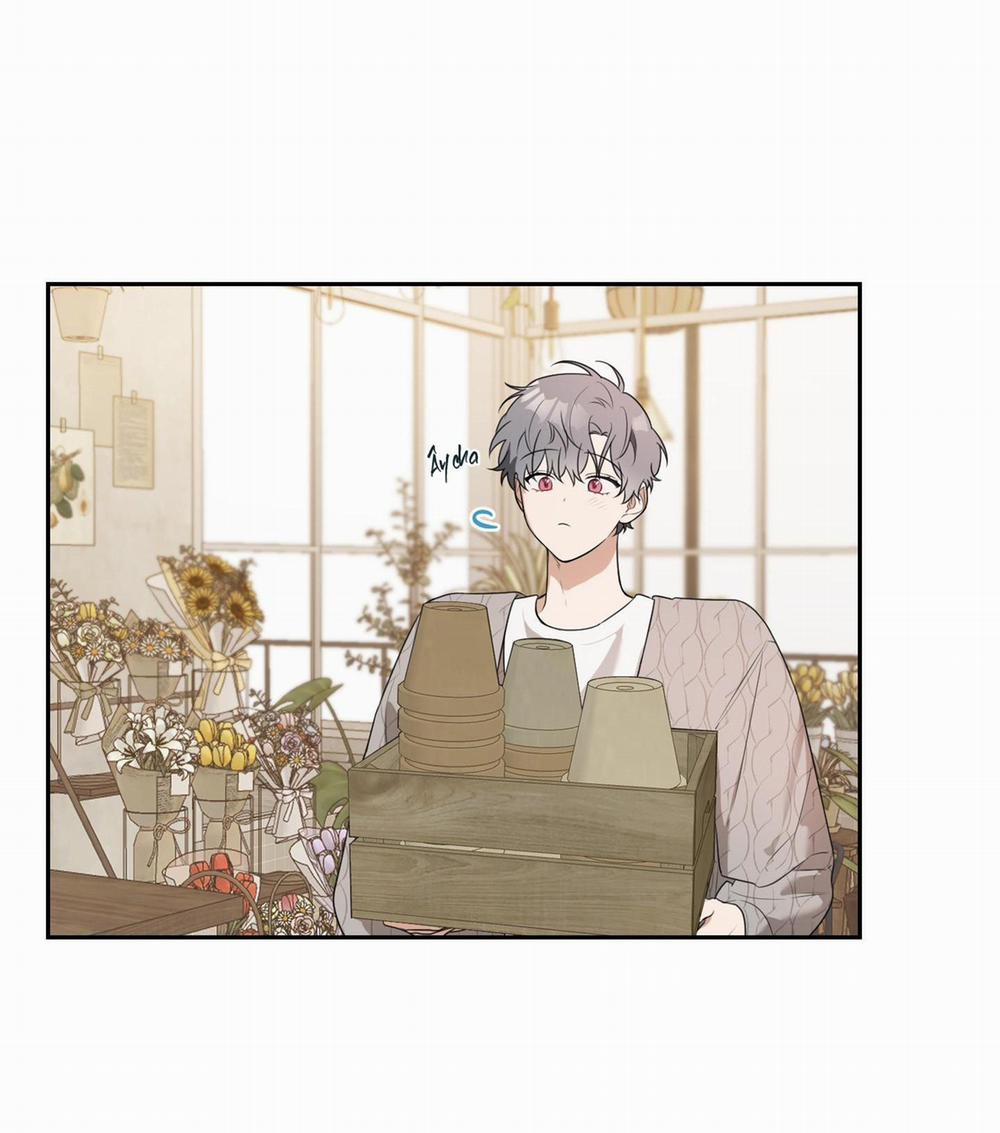 Vườn Hoa 12 trang 2