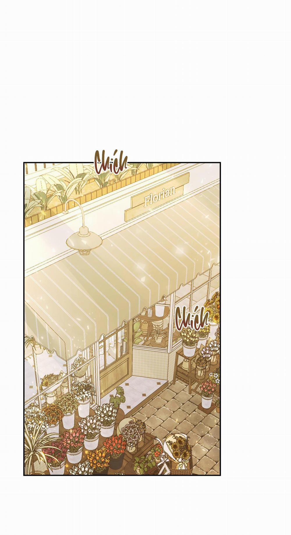 Vườn Hoa 12 trang 46