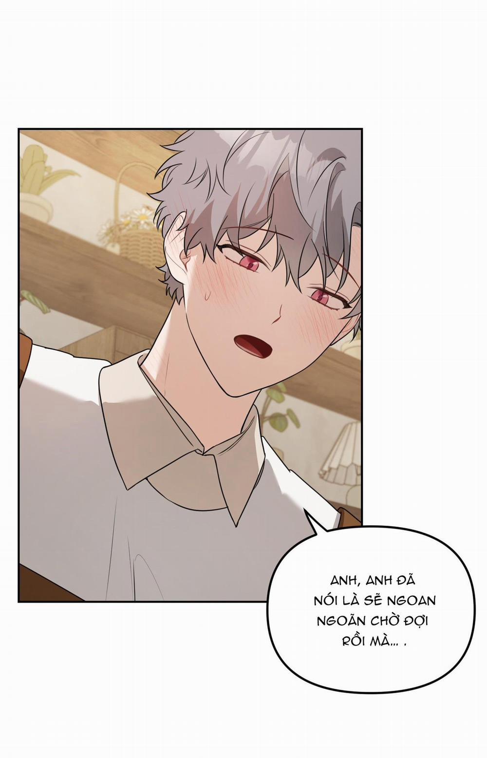 Vườn Hoa 12 trang 53