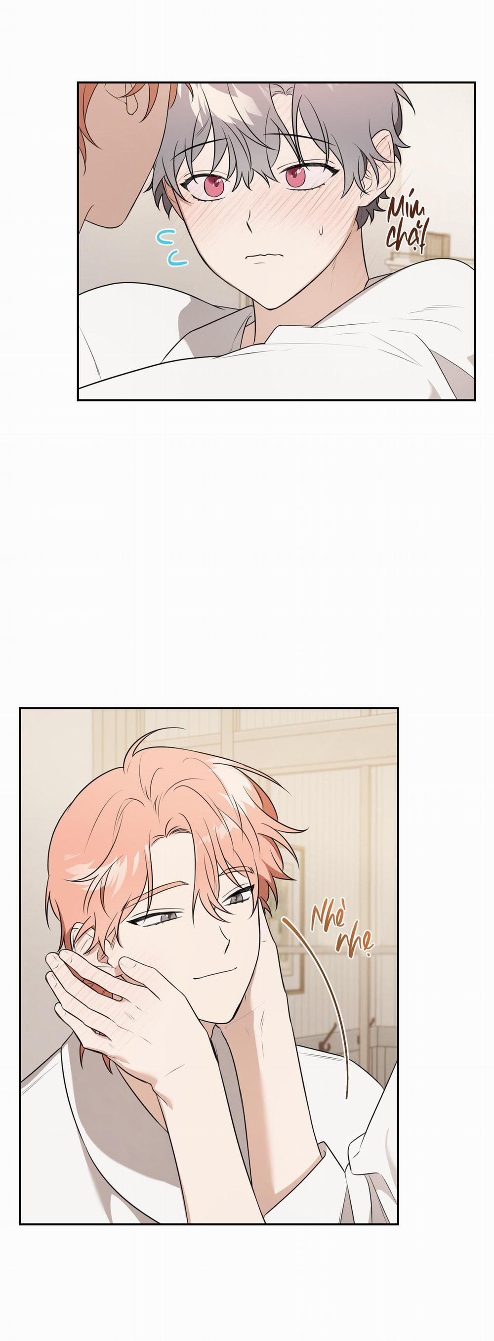 Vườn Hoa 14 trang 17