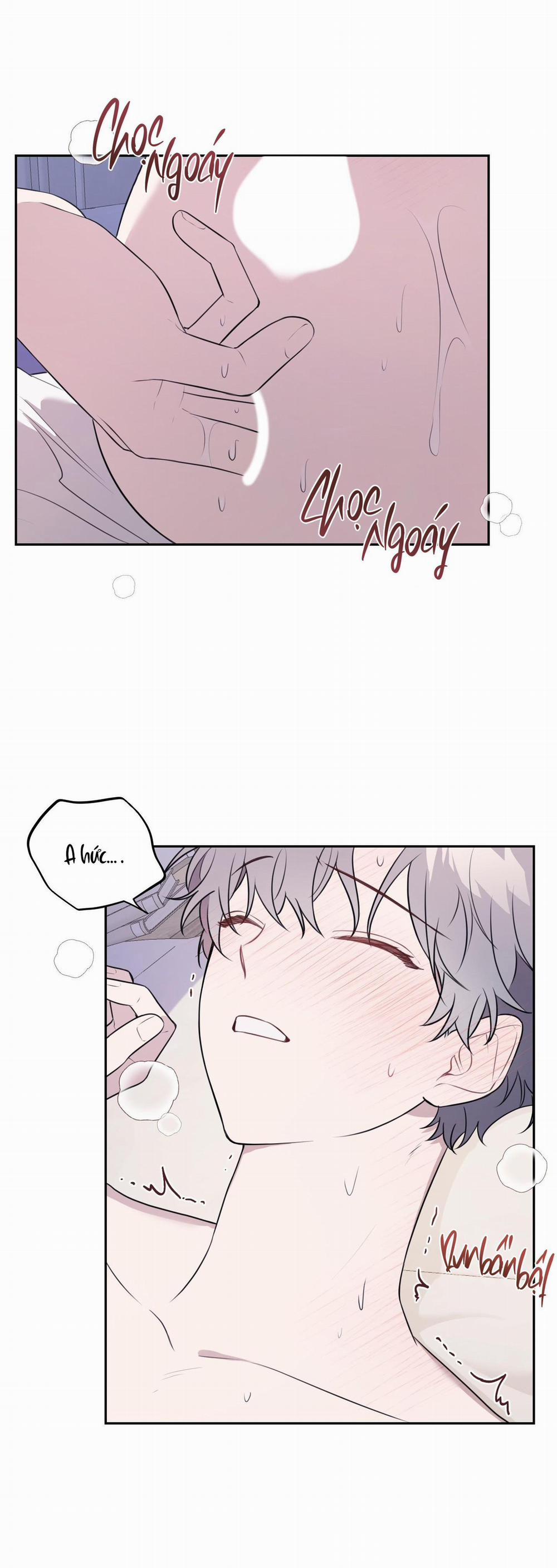 Vườn Hoa 15 trang 2