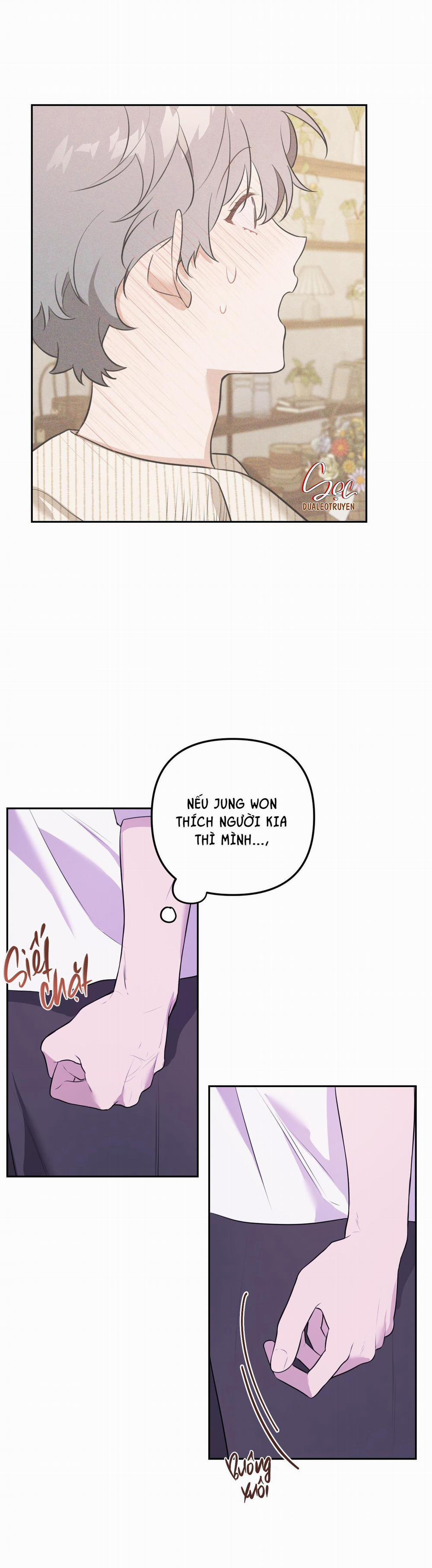 Vườn Hoa 20 trang 11