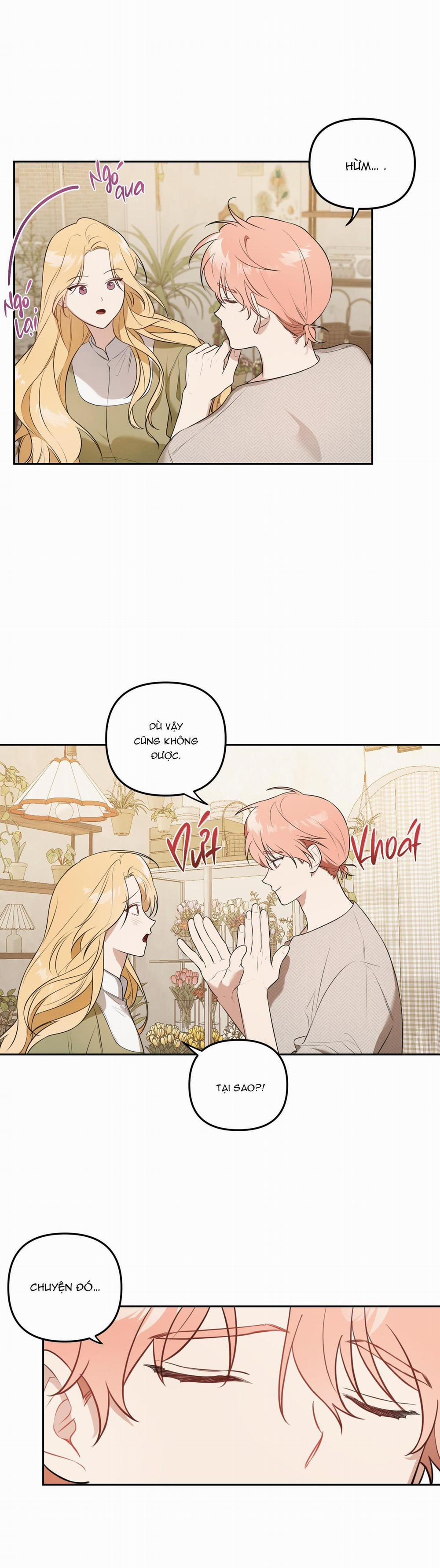 Vườn Hoa 20 trang 17