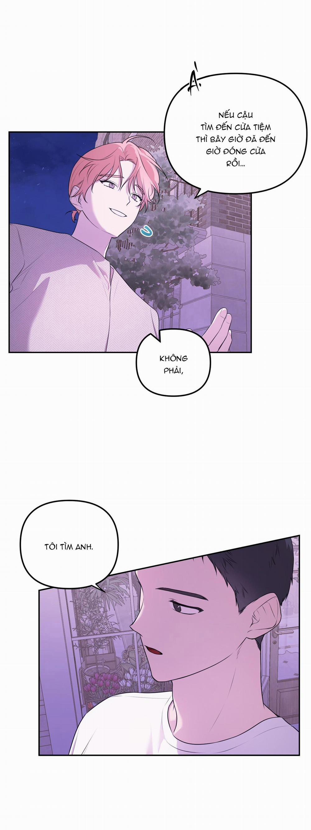 Vườn Hoa 21 trang 2