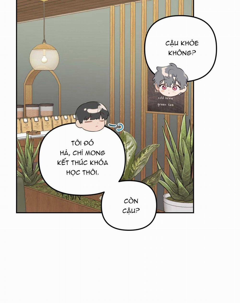 Vườn Hoa 23 trang 10