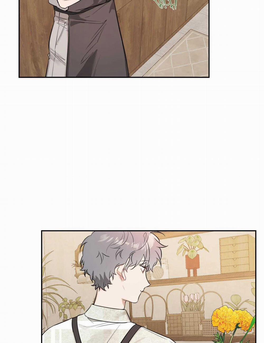 Vườn Hoa 28 trang 2