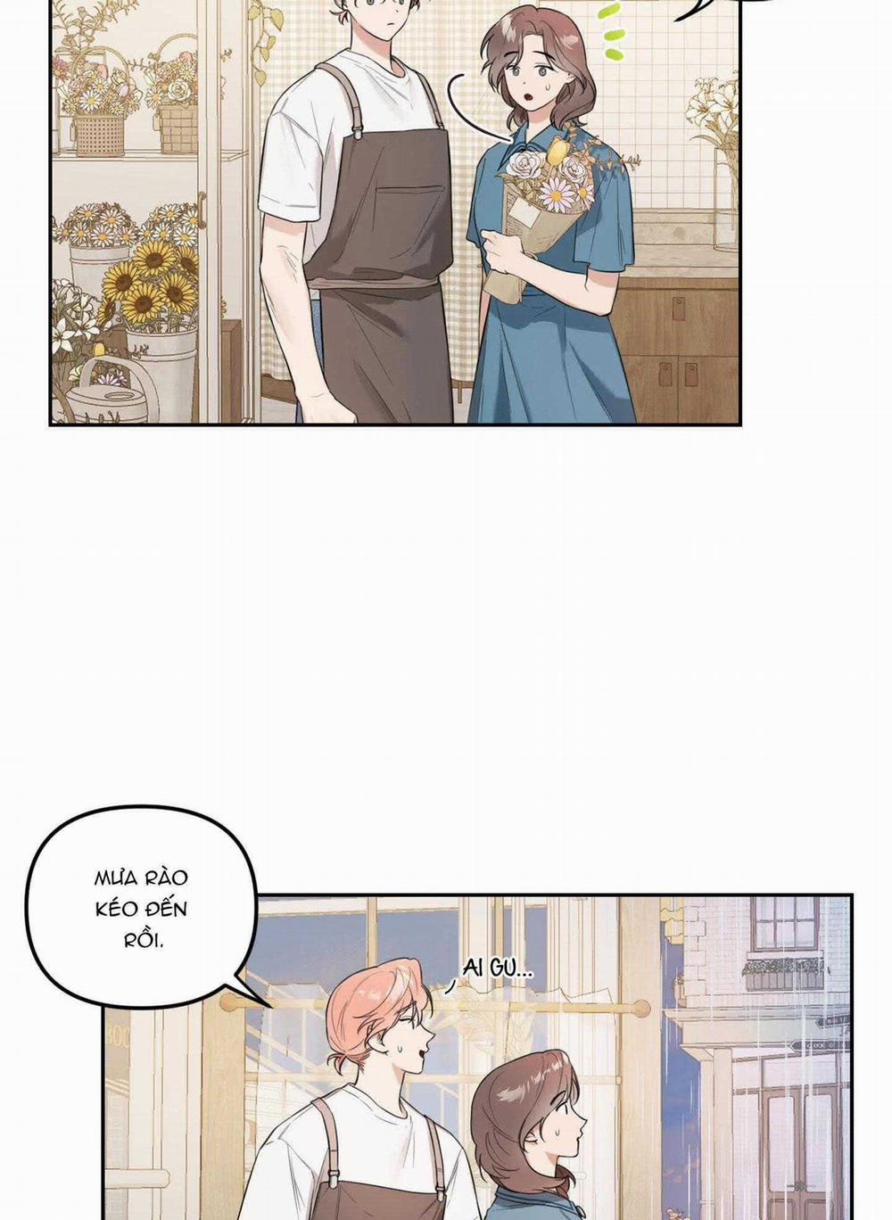 Vườn Hoa 29 trang 16