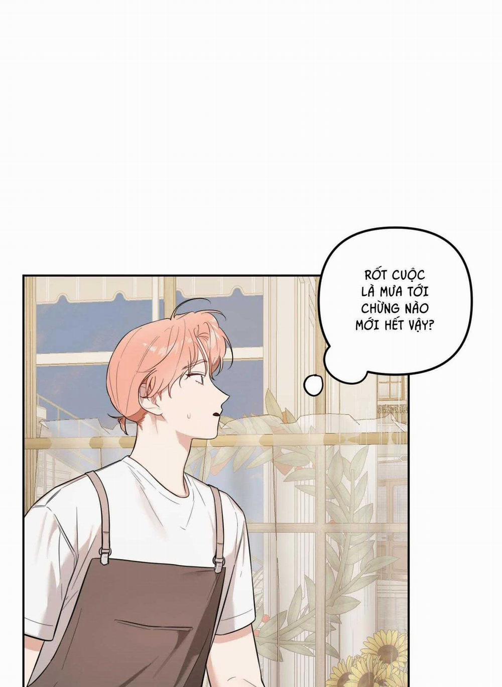 Vườn Hoa 29 trang 19