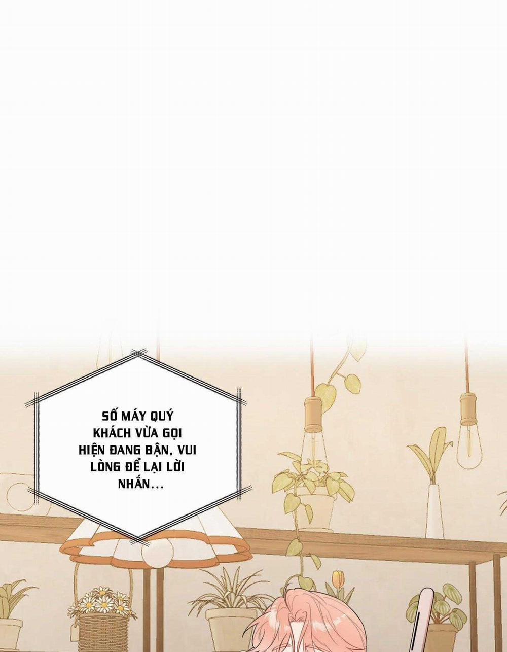 Vườn Hoa 29 trang 41